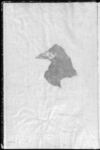 Thumbnail 0008 of Le corbeau = The raven