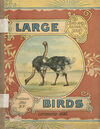 Thumbnail 0001 of Large birds