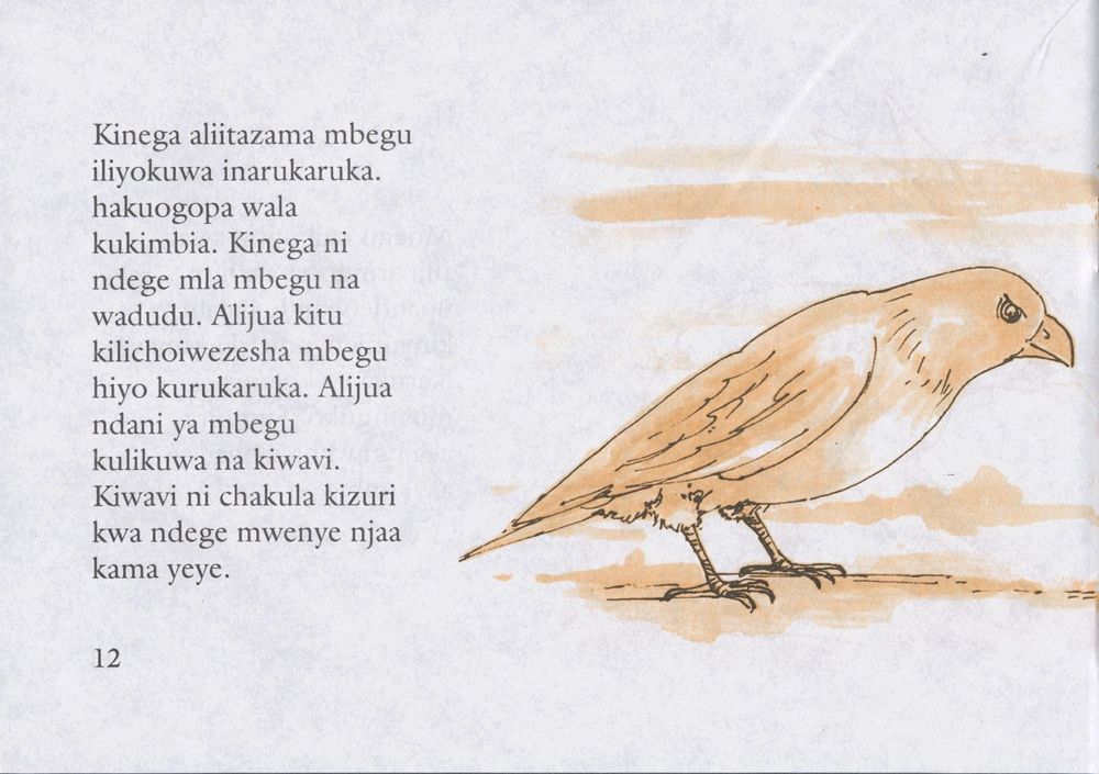 Scan 0016 of Mbegu ya ajabu