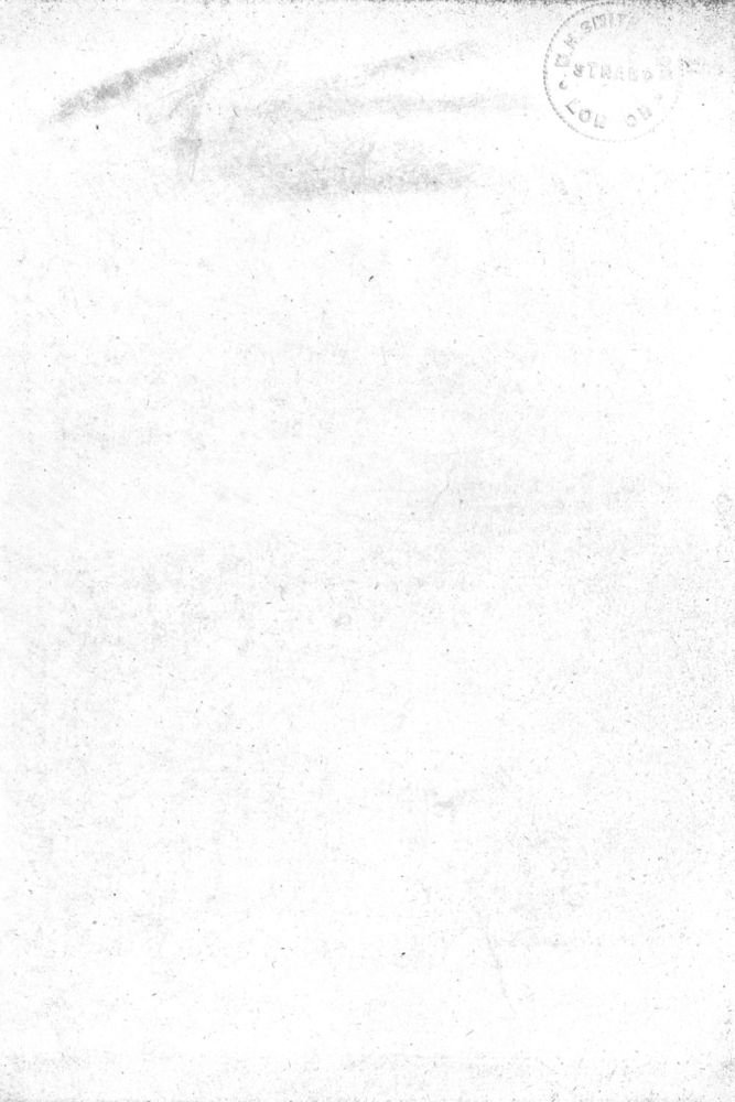 Scan 0003 of Sage stuffing for green goslings
