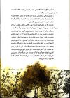 Thumbnail 0026 of حسنك وزير