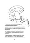 Thumbnail 0016 of El grillo arpista