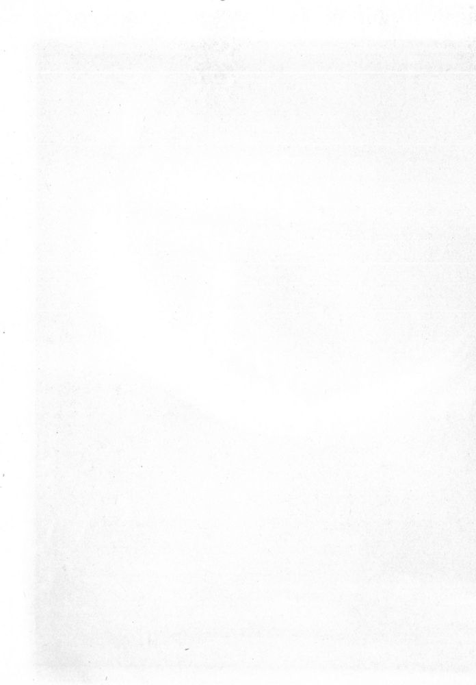 Scan 0049 of How the rain sprites were freed