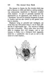 Thumbnail 0160 of The animal story book