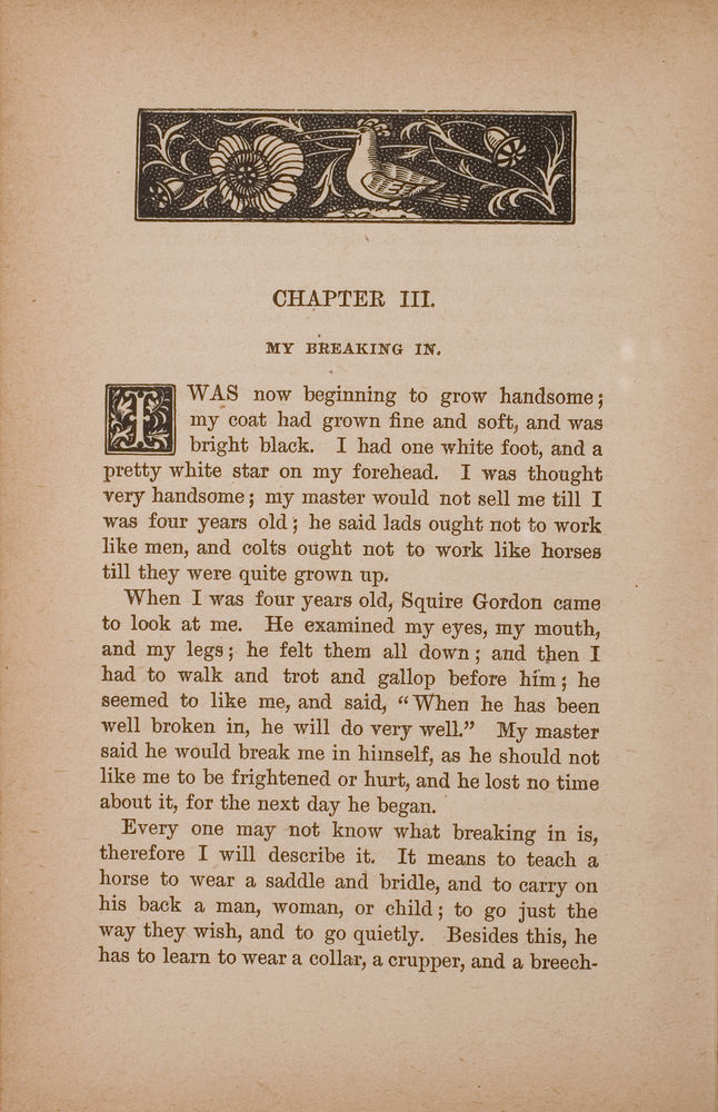 Scan 0026 of Black beauty: His grooms and companions