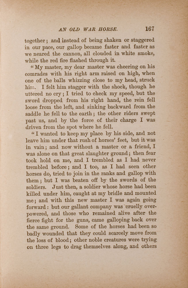 Scan 0177 of Black beauty: His grooms and companions