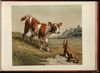 Thumbnail 0021 of Ballad of the lost hare