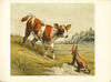 Thumbnail 0010 of Ballad of the lost hare