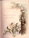 Thumbnail 0009 of Jack in the pulpit