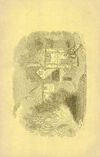 Thumbnail 0032 of Apricot-tree