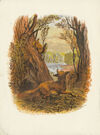 Thumbnail 0003 of Squirrels