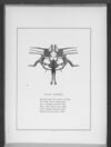 Thumbnail 0049 of Gobolinks or shadow pictures