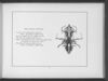 Thumbnail 0050 of Gobolinks or shadow pictures