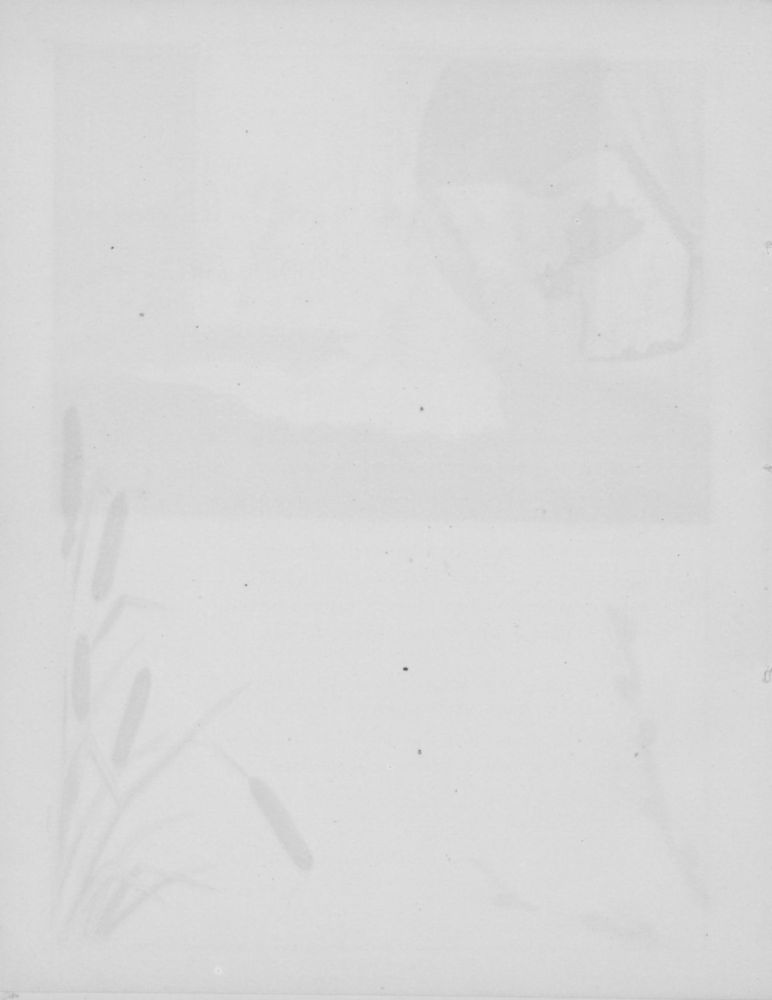 Scan 0018 of Wonder-eyes and what for