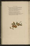 Thumbnail 0068 of Little Ann and other poems