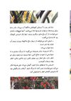 Thumbnail 0007 of آن شب باراني
