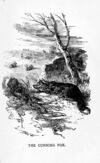 Thumbnail 0023 of Bright picture pages full of stories