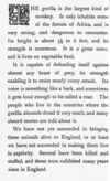 Thumbnail 0032 of Bright picture pages full of stories