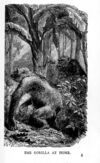 Thumbnail 0033 of Bright picture pages full of stories