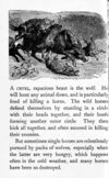 Thumbnail 0034 of Bright picture pages full of stories