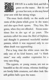 Thumbnail 0040 of Bright picture pages full of stories