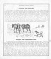 Thumbnail 0008 of Stories about dogs