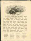 Thumbnail 0012 of Indestructible spelling book