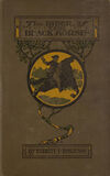 Read The rider of the black horse