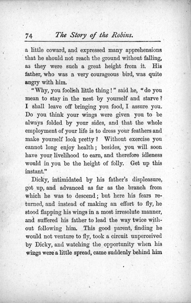 Scan 0088 of The story of the robins