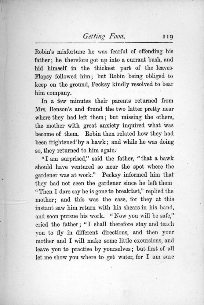Scan 0135 of The story of the robins