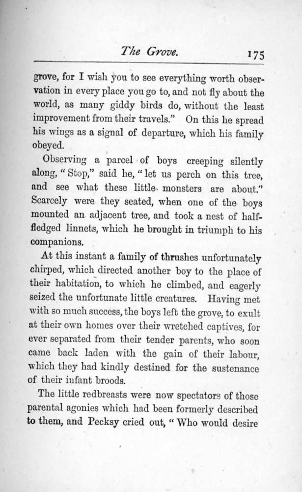 Scan 0195 of The story of the robins