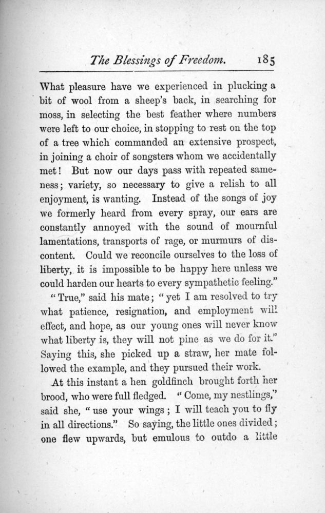 Scan 0205 of The story of the robins