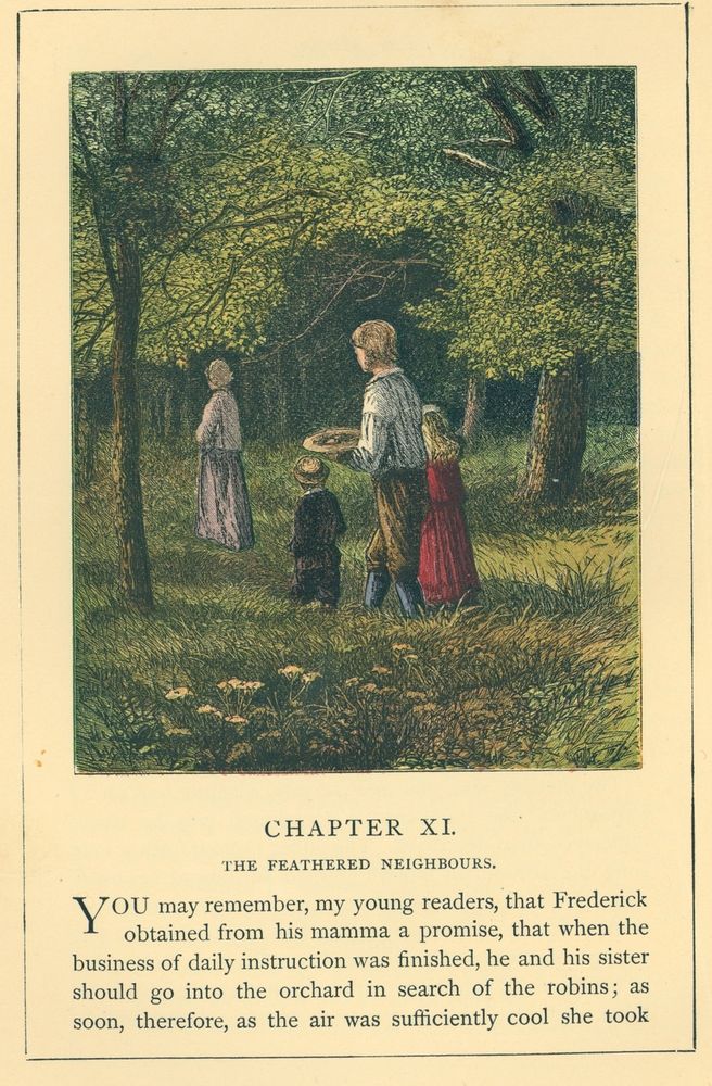 Scan 0098 of The story of the robins