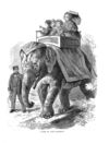 Thumbnail 0012 of Holiday hours in animal land