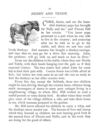 Thumbnail 0033 of Holiday hours in animal land