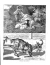 Thumbnail 0044 of Holiday hours in animal land