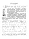 Thumbnail 0047 of Holiday hours in animal land