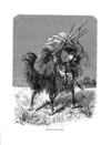 Thumbnail 0054 of Holiday hours in animal land