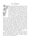 Thumbnail 0077 of Holiday hours in animal land