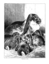 Thumbnail 0086 of Holiday hours in animal land