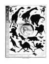 Thumbnail 0097 of Holiday hours in animal land