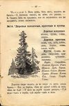 Thumbnail 0055 of Родное слово для детей младшего возраста