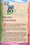 Thumbnail 0035 of Manchas y manchitas