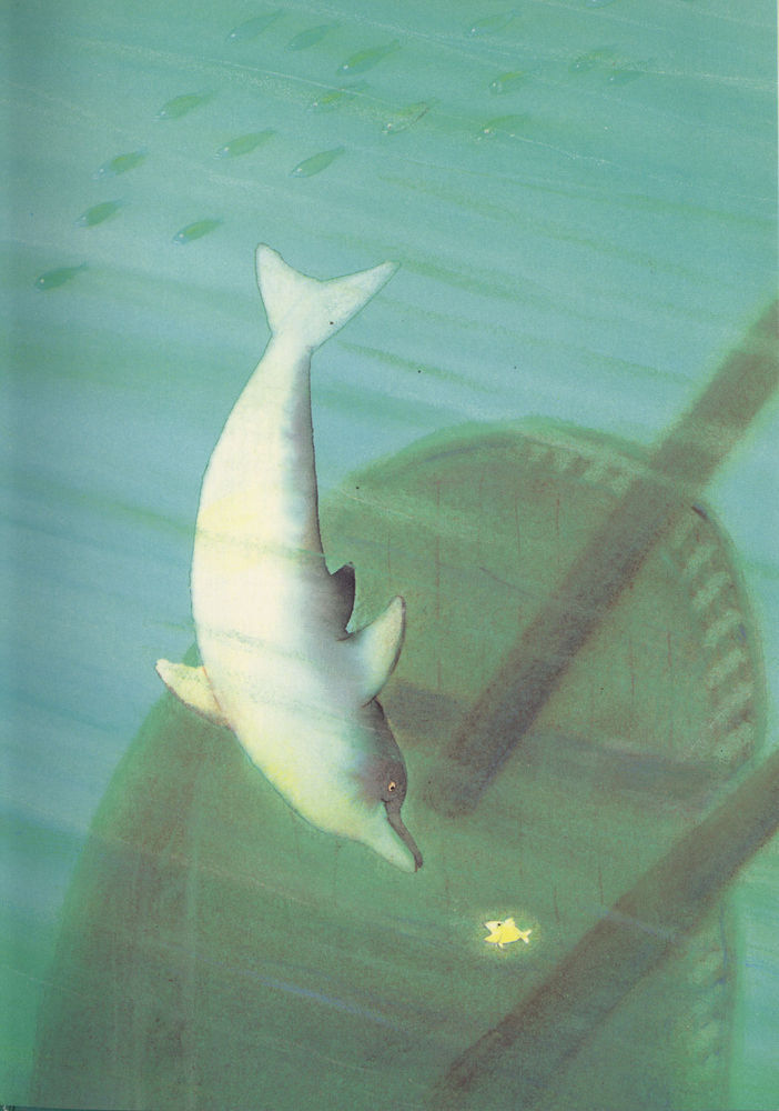 Scan 0007 of Warum der kleine Delphin Purzelbäume schlägt