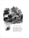Thumbnail 0009 of Little lays for little folk