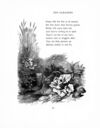 Thumbnail 0032 of Little lays for little folk