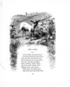 Thumbnail 0043 of Little lays for little folk