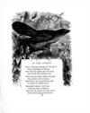 Thumbnail 0071 of Little lays for little folk