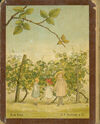 Thumbnail 0046 of Little chicks and baby tricks