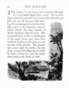 Thumbnail 0049 of The large picture primer
